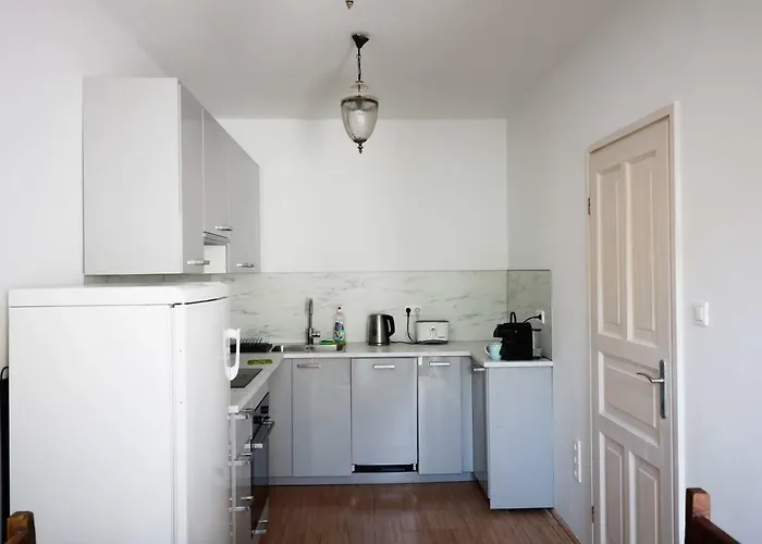 Maharaja Mountain Palace With Free Privat Parking And Garden Apartament Budapesta