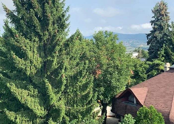 Maharaja Mountain Palace With Free Privat Parking And Garden Apartament