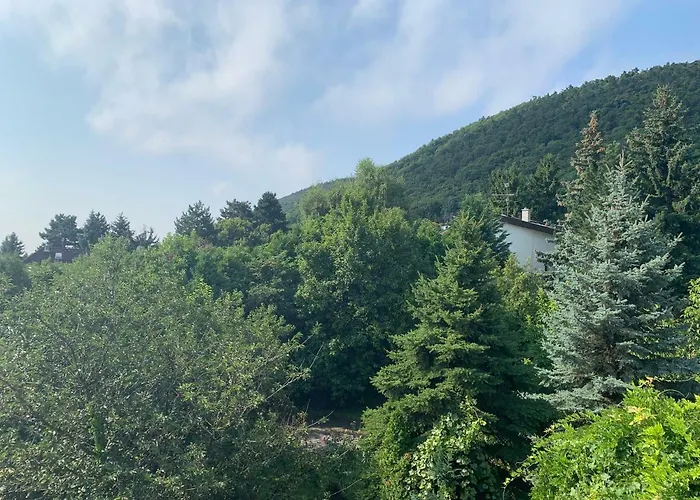 Maharaja Mountain Palace With Free Privat Parking And Garden Apartament *