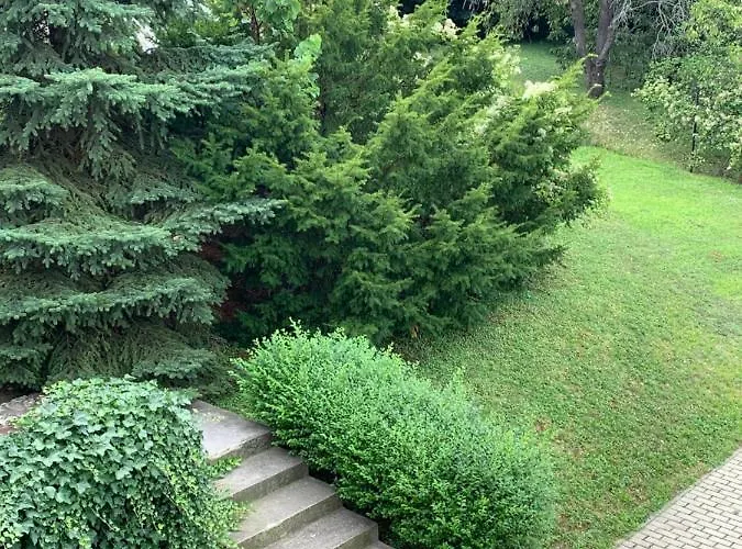 Maharaja Mountain Palace With Free Privat Parking And Garden * Budapesta