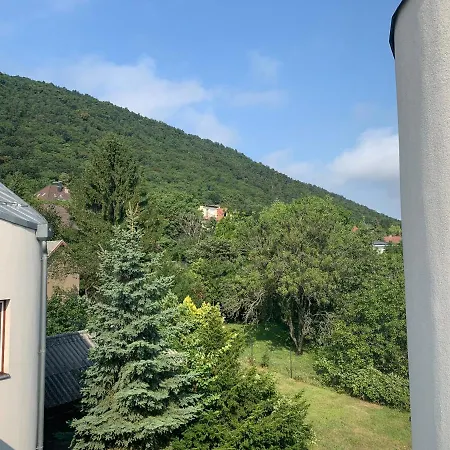Maharaja Mountain Palace With Free Privat Parking And Garden Διαμέρισμα *