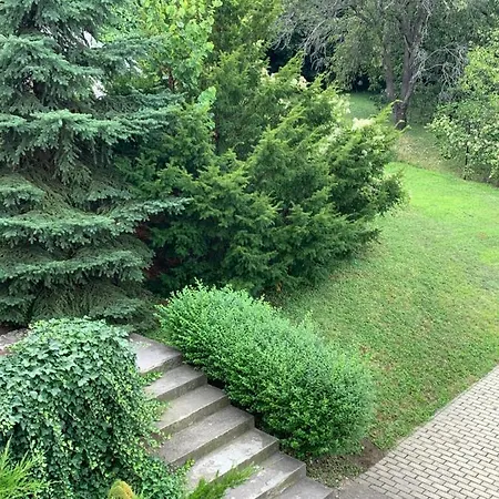 Maharaja Mountain Palace With Free Privat Parking And Garden * Βουδαπέστη
