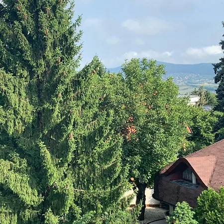 Maharaja Mountain Palace With Free Privat Parking And Garden Daire