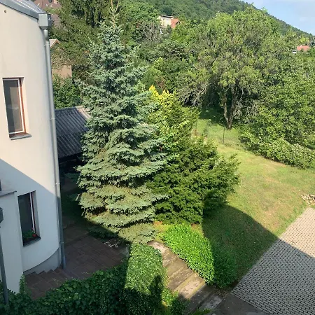 Maharaja Mountain Palace With Free Privat Parking And Garden Daire *